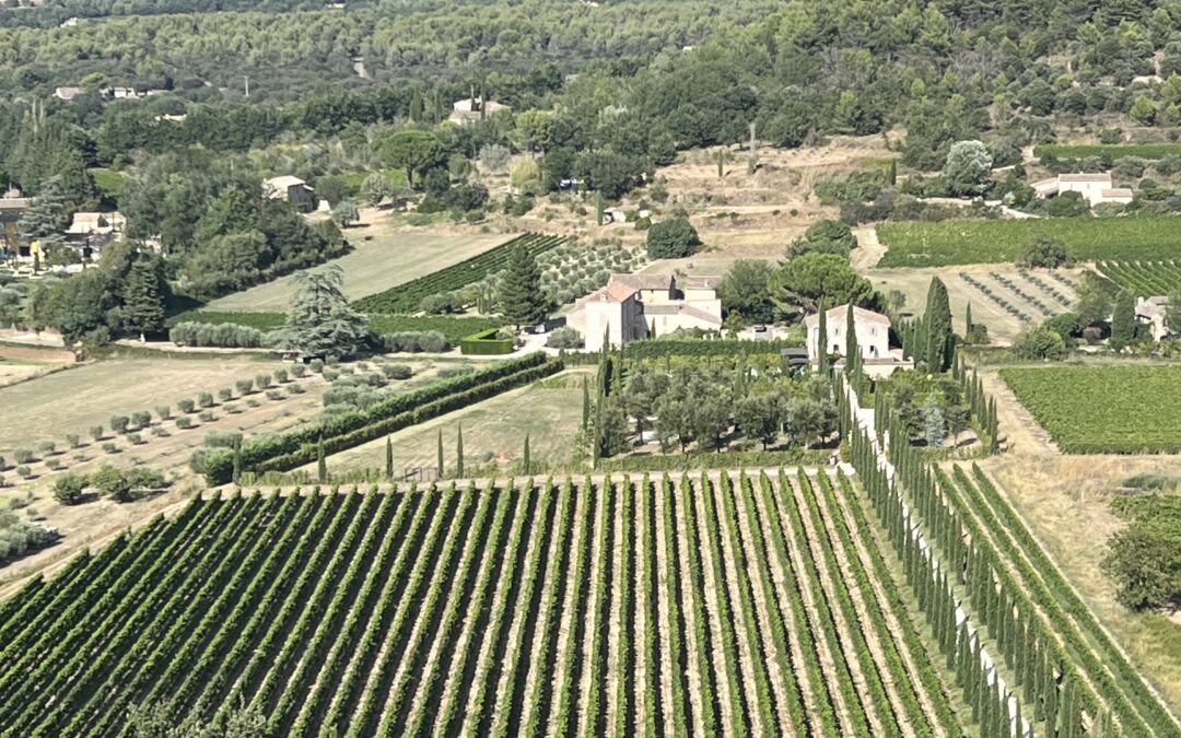 Vignoble de St-Tropez