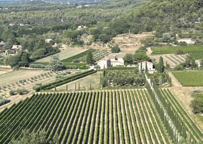 Vignoble de St-Tropez