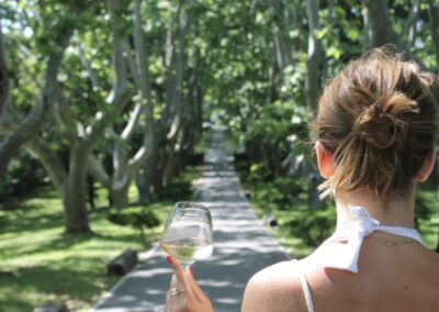Vignoble de St-Tropez